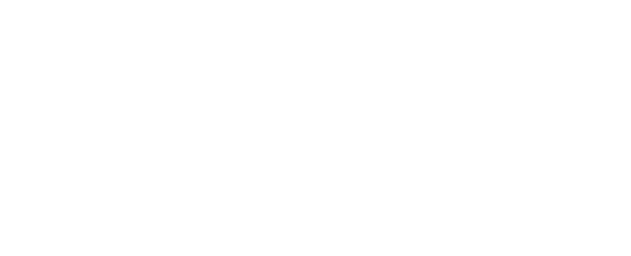 Bora Oenal Logo